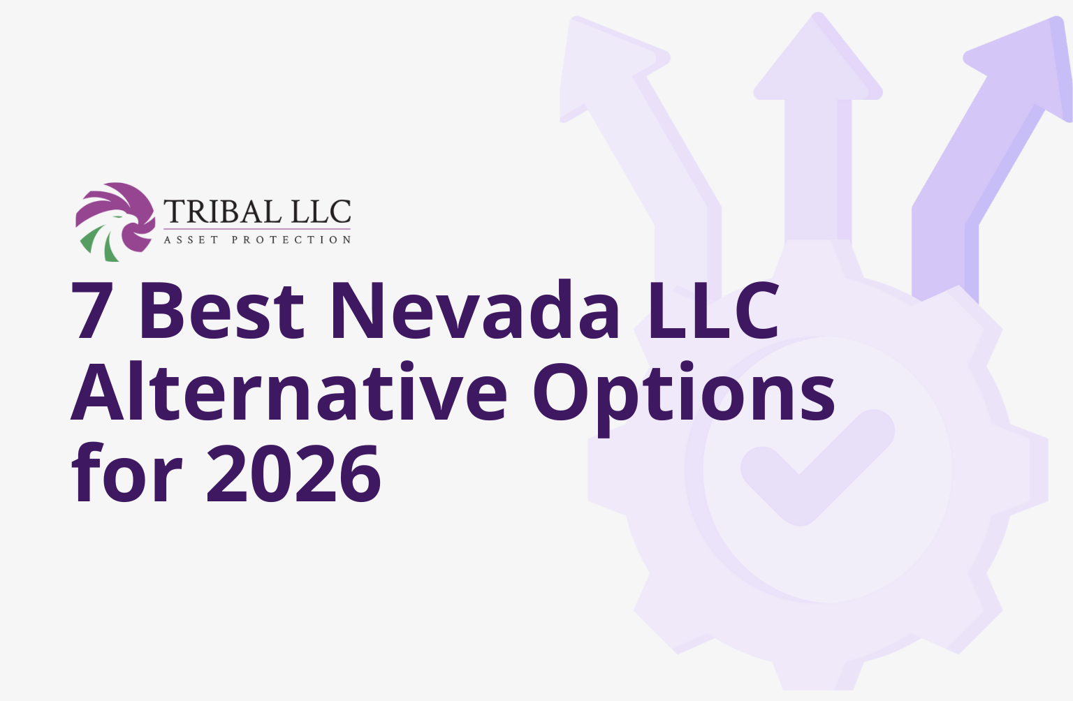 7 Best Nevada LLC Alternative Options for 2026