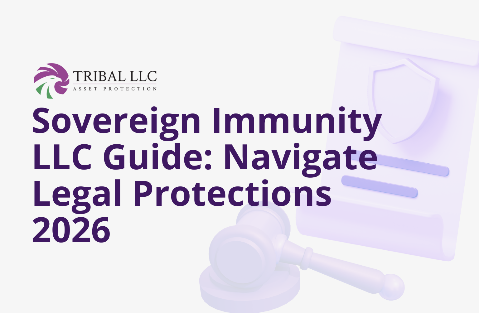 Sovereign Immunity LLC Guide_ Navigate Legal Protections 2026