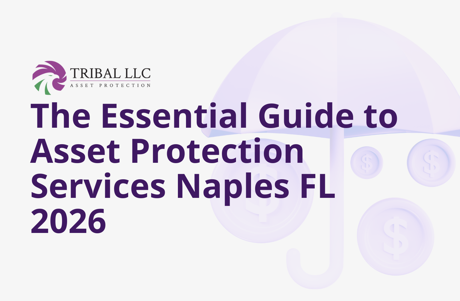 The Essential Guide to Asset Protection Services Naples FL 2026