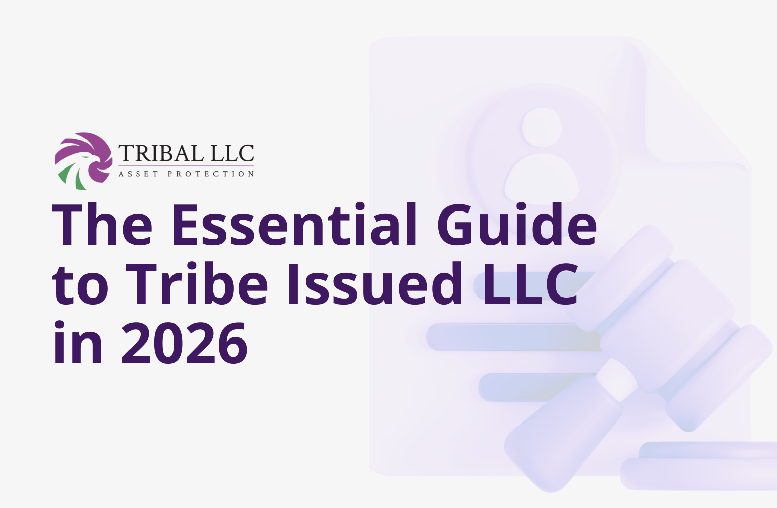 The-Essential-Guide-to-Tribe-Issued-LLC-in-2026.webp