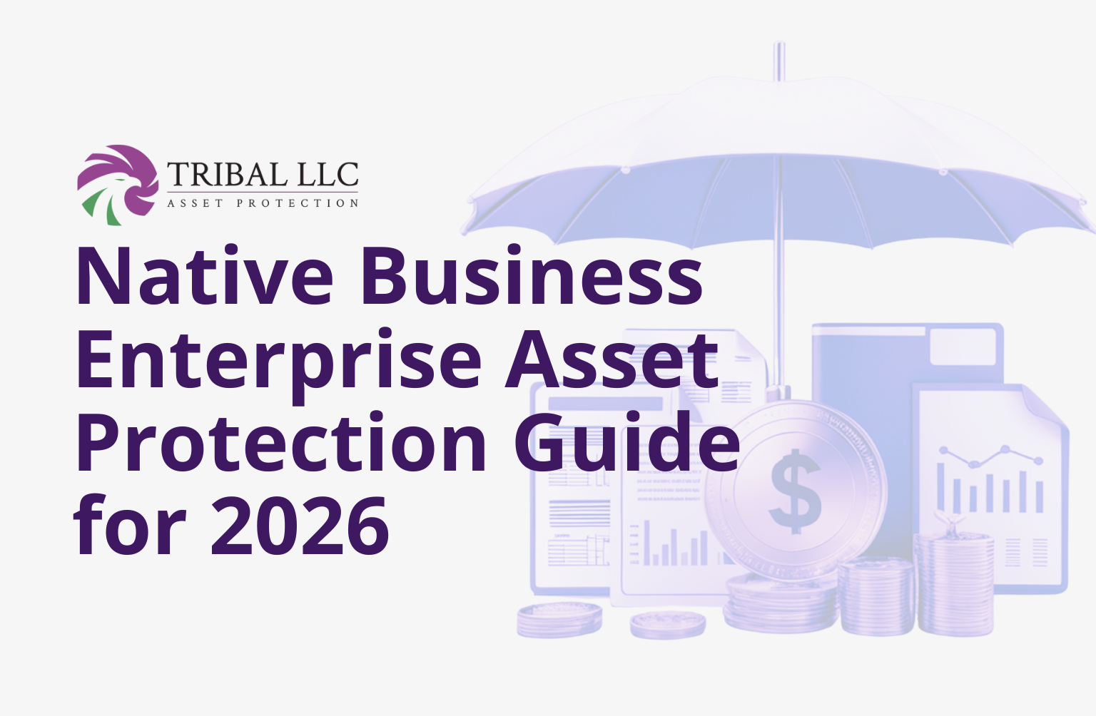 Native Business Enterprise Asset Protection Guide for 2026